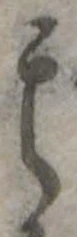 其の位置