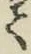 字て