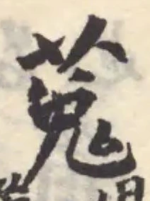 位置定マレル菟