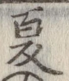 已定位夏