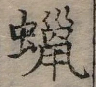 已定位蠟