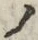 「ノ」字
