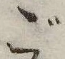 已定位ご