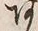 文字 あ