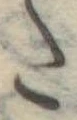 𛁠 위치 확인됨