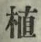 글자 植