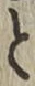 文字と