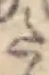 Đã định vị 𛁠