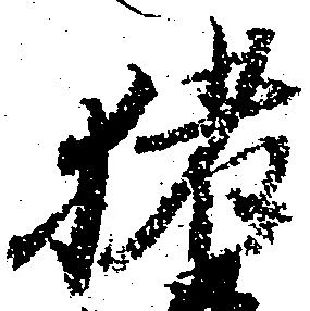 已定位猪