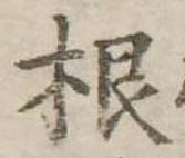 根 위치 확인됨