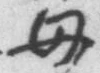 文字母