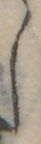 𛁅 위치 확인됨