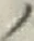 “ノ”字