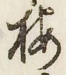 梅の位置