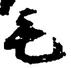 毛 위치 확인됨