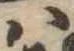 𛂞 위치 확인됨