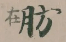 肪 위치 확인됨