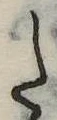 Đã định vị 𛁠