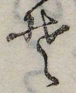 位置定マレル𛁛