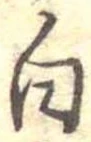 白 위치 확인됨