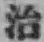 字治