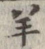 羊 위치 확인됨