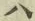 “ハ”字