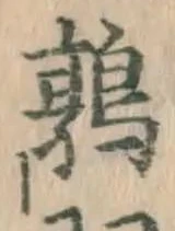 文字鶉