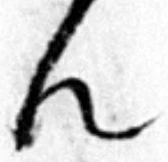 𡨸ん
