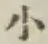 字小