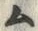 字ム