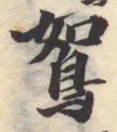 鴽 위치 확인됨