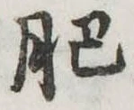 肥 위치 확인됨