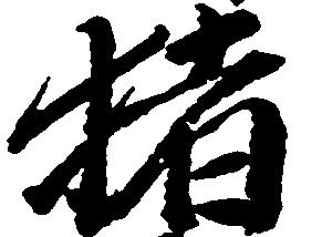 已定位猪