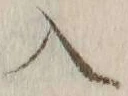 字入