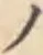 字ノ