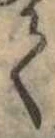 位置定マレル𛁳