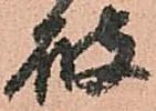 已定位破