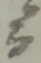 ニ 위치 확인됨