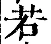 “若”字