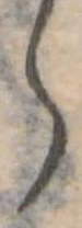 𛃰 위치 확인됨