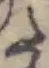 Đã định vị 𛁠
