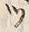 「ツ」字