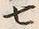 文字七
