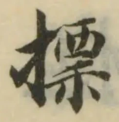 摽の位置