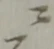 ニ 위치 확인됨