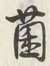 文字菌