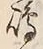 文字嶋