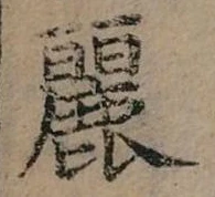 已定位麗