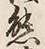 文字熊